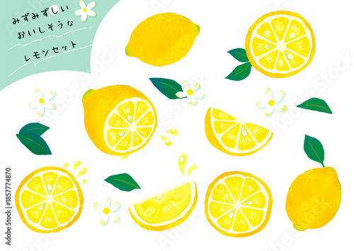 みずみずしいおいしそうなレモンセット