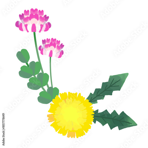 手描きのかわいいレンゲとタンポポのイラスト