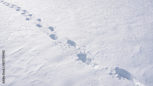 Step forward in frosty trail. Snowy step on outdoor path. Steps marks in snowy forest. Footsteps pattern in winter landscape. © Volodymyr