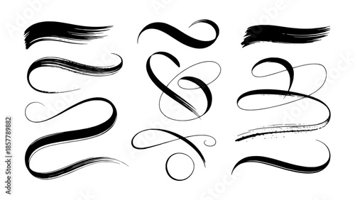 Set of decorative brush stroke swashes and ornamental curves (vector)