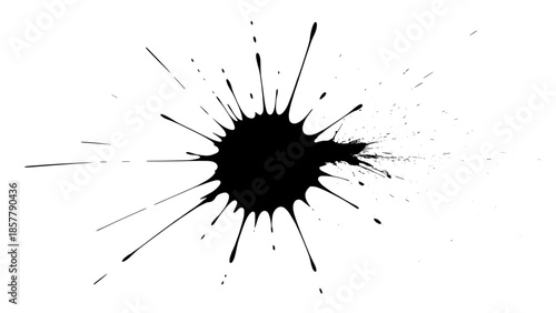 Abstract black ink splatter burst on white background (radial paint splash, vector)