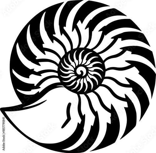 Striking monochrome nautilus depiction evoking sumi-e sensibilit
