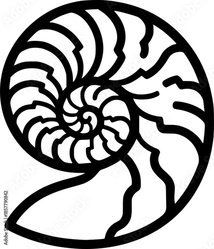Striking monochrome nautilus depiction evoking sumi-e sensibilit
