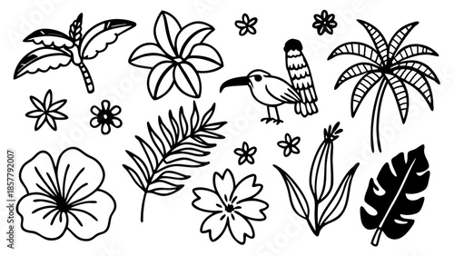Tropical doodle set Vector
