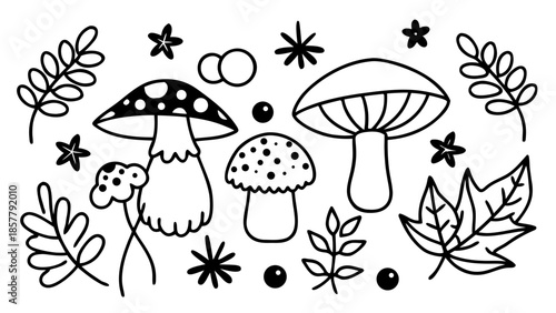 Mushroom line art doodle collection Vector