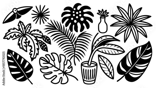 Jungle tropical leaves vector set Vector