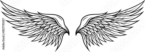 Black and White Hand Drawn Vector Illustration of Spread Eagle Wings in Engraving Style for Tattoo Design Logo or Heraldic Emblem