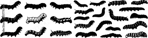 Caterpillar silhouettes collection, worm insect species, crawling larvae, entomology art, vector illustration, nature design, wildlife icon, garden pest, bug pattern, segmented body 