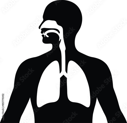 Detailed Human Respiratory System Silhouette Anatomy Icon Representing Lungs Trachea Nasal Cavity and Throat for Medical Education Health and Wellness Concepts