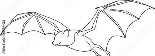 Bat line art illustration, flying bat outline, vector style animal drawing, spooky wildlife design, minimalist ink sketch, nocturnal mammal artwork