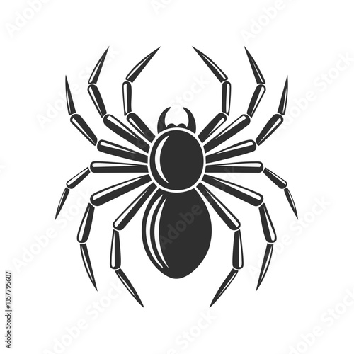 Graphic Vector Illustration of Detailed Spider Insect with Eight Legs