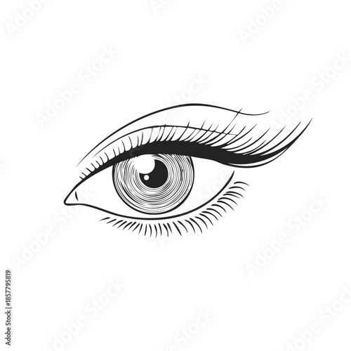 Detailed Line Art Illustration of a Human Eye with Long Eyelashes and Circular Iris Design