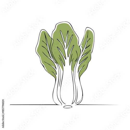 Bok Choy Line Art Vector, Asian Green Vegetable Illustration, Minimalist Graphic Design