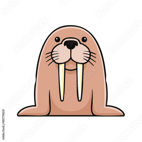 Cartoon walrus illustration with big tusks isolated on white, arctic marine animal.