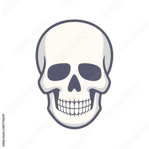 Human Skull Icon, Minimalist Skull Vector Graphic, Skeletal Head Illustration with Teeth