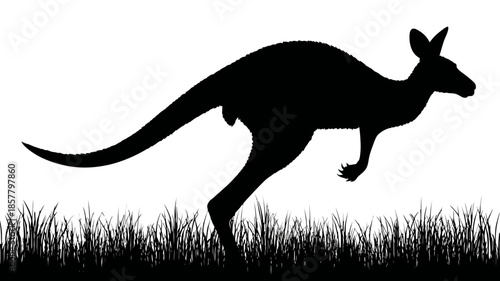 Jumping kangaroo silhouette with grass, Australian wildlife graphic illustration on a white background.