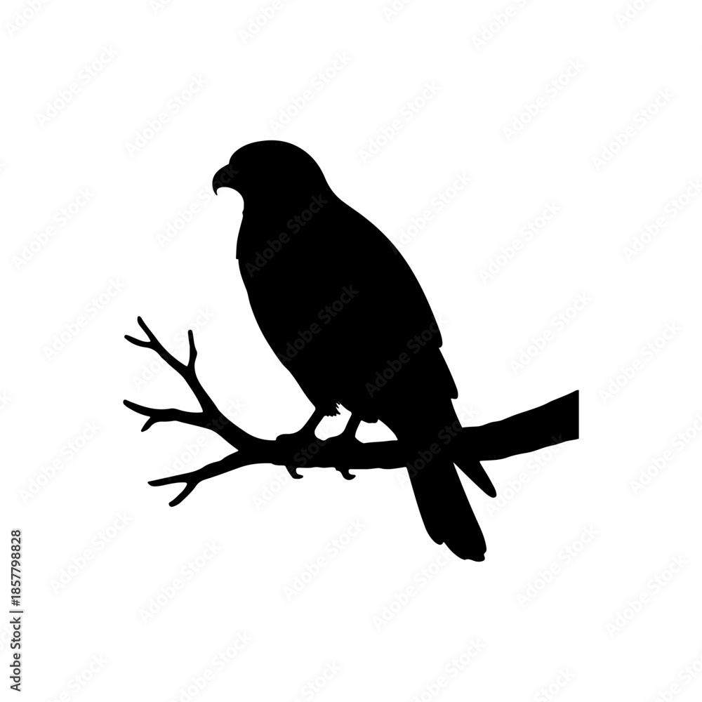 Obraz premium Hawk branch silhouette icon vector illustration on white background