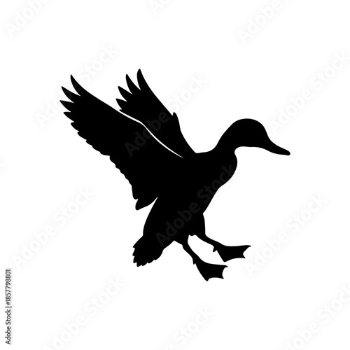 Landing mallard duck silhouette icon vector illustration on white background