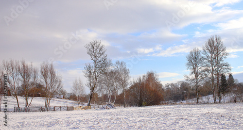 Winter landscape of a Ukrainian village. Winter road, village houses and trees covered with snow. Beautiful landscape of a small village in western Ukraine.