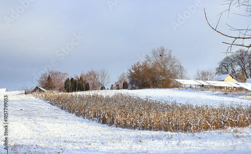 Winter landscape of a Ukrainian village. Winter road, village houses and trees covered with snow. Beautiful landscape of a small village in western Ukraine.