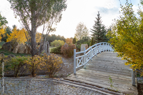 White bridge in botanic garden during fall
