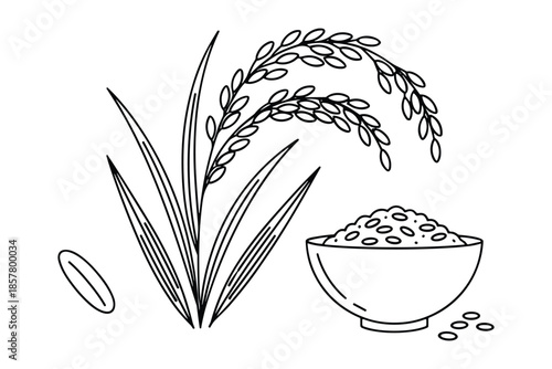 Outline illustration of rice plant with grains and bowl isolated on transparent backdrop.