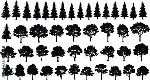 Tree silhouette collection, coniferous and deciduous icons, forest shape variety, botanical clipart set, black nature design, isolated trees