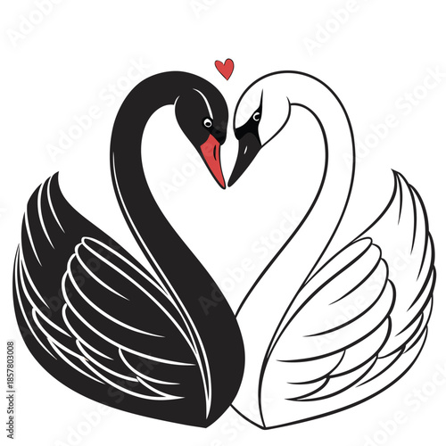 A striking depiction of two swans forming a heart shape with their necks a beautiful black and white silhouette