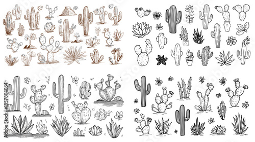 Illustration set of cactus plants in sketch and line art styles designed for desert themes botanical graphics coloring pages and minimalist nature visuals