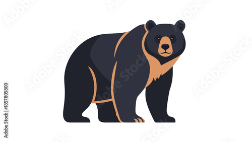 Vector illustration of a black bear standing on a white background