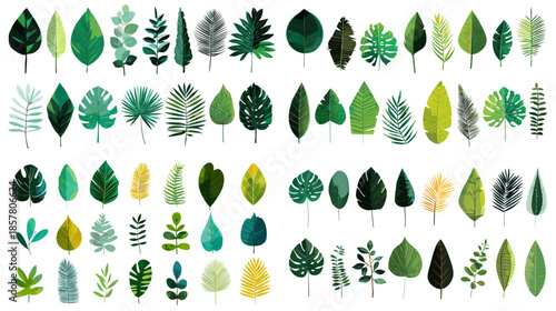 Collection of green leaves in various shapes and textures designed as botanical elements for tropical themes nature backgrounds eco design and decorative compositions
