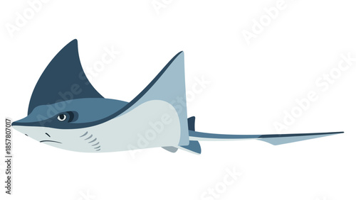 Vector illustration of a blue shark swimming in profile view
