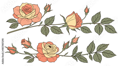 delicate floral arrangement featuring blossoming roses and budding petals in a sketched botanical illustration silhouette high quality