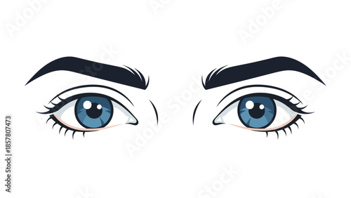 Illustration of blue eyes with detailed eyebrows on white background