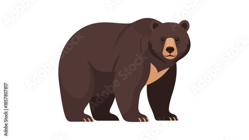 Illustration of a Brown Bear Standing on White Background