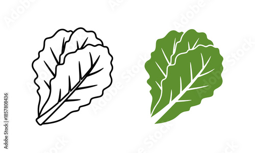 Illustrated leaf comparison