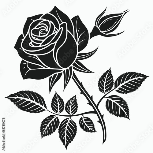 a striking black and white floral composition featuring a blossoming rose with accompanying leaves and a bud silhouette