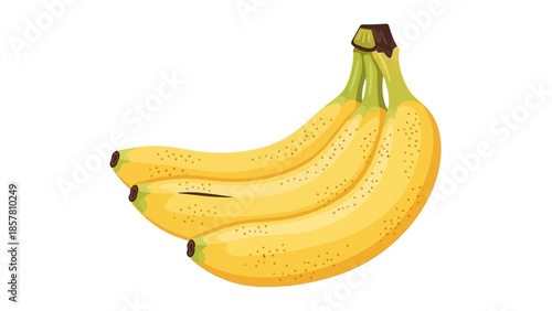 Realistic vector illustration of a ripe banana bunch on white background