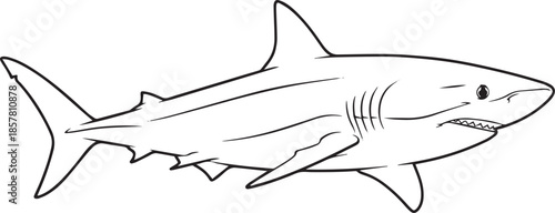 silhouette of clean vector of Mako shark isolated on white background