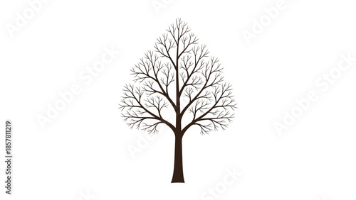 Minimalist illustration of a leafless tree on a white background