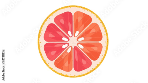 Colorful grapefruit slice illustration with vibrant segments