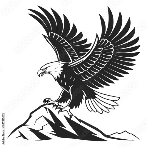 A majestic eagle with outstretched wings perches atop a rocky crag a striking black and white silhouette