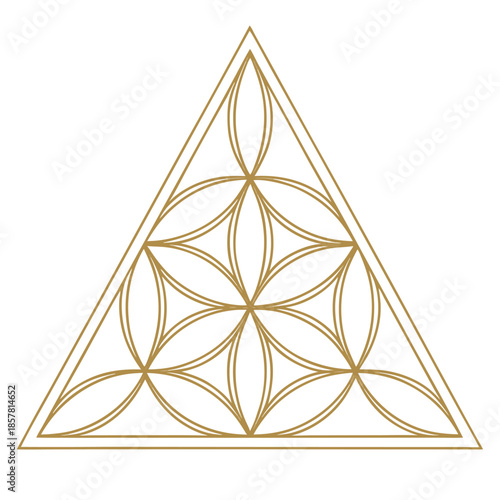 Golden geometric sacred geometry symbol of the Flower of Life within a triangle pattern