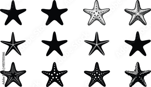 Set of starfish silhouettes, marine life outline icons, sea star vector illustration collection, ocean beach nature symbols, detailed engraved style designs, black isolated shapes