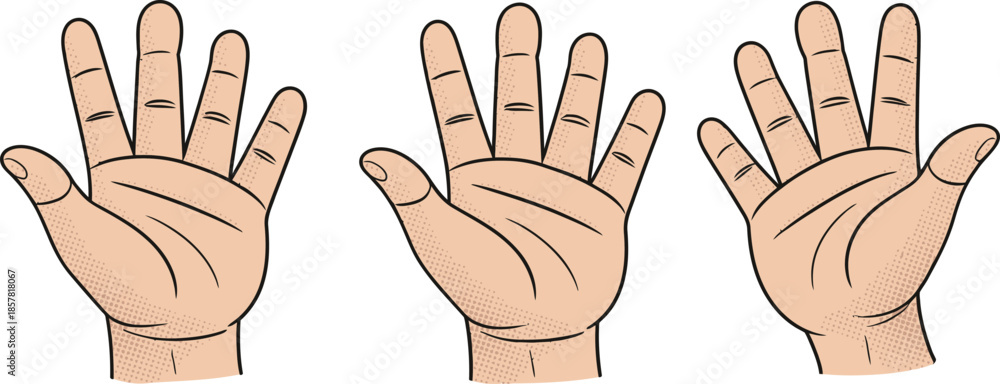 Obraz premium A detailed vector of an open human hand palm facing outwards 