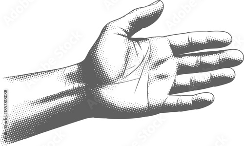 A detailed illustration of an open human hand palm facing outwards

