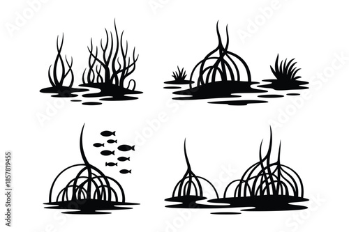 Mangrove Tree Silhouettes in Swamp Water with Small Fish