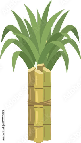 Sugarcane Bundle Flat Vector Illustration