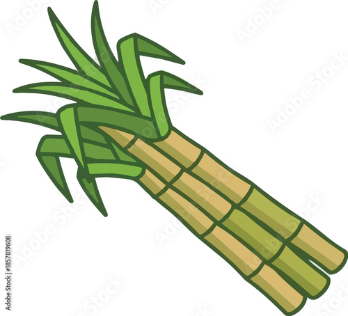 Sugarcane Bundle Flat Vector Illustration