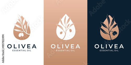 Minimalist olive essential oil logo natural leaf and olive fruit icon